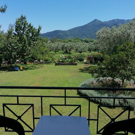 Nostos Studios Golden Beach Хриси-Амудия Номер фото